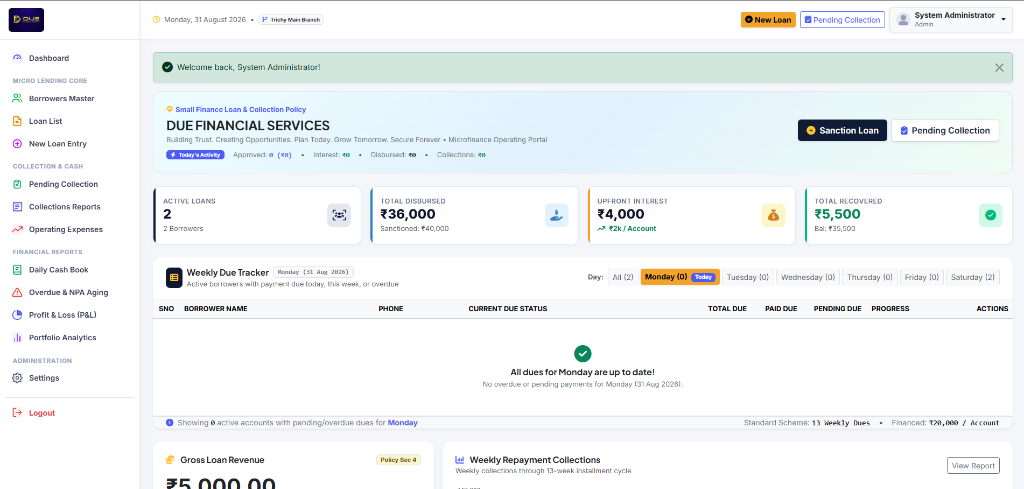 Micro Loan Software Interface